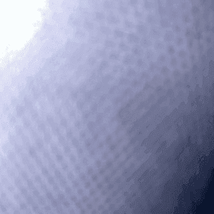 Fc