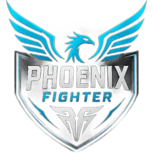 Phoenix fighter