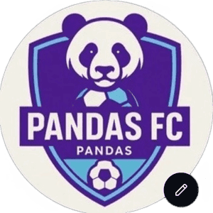 Pandas fc